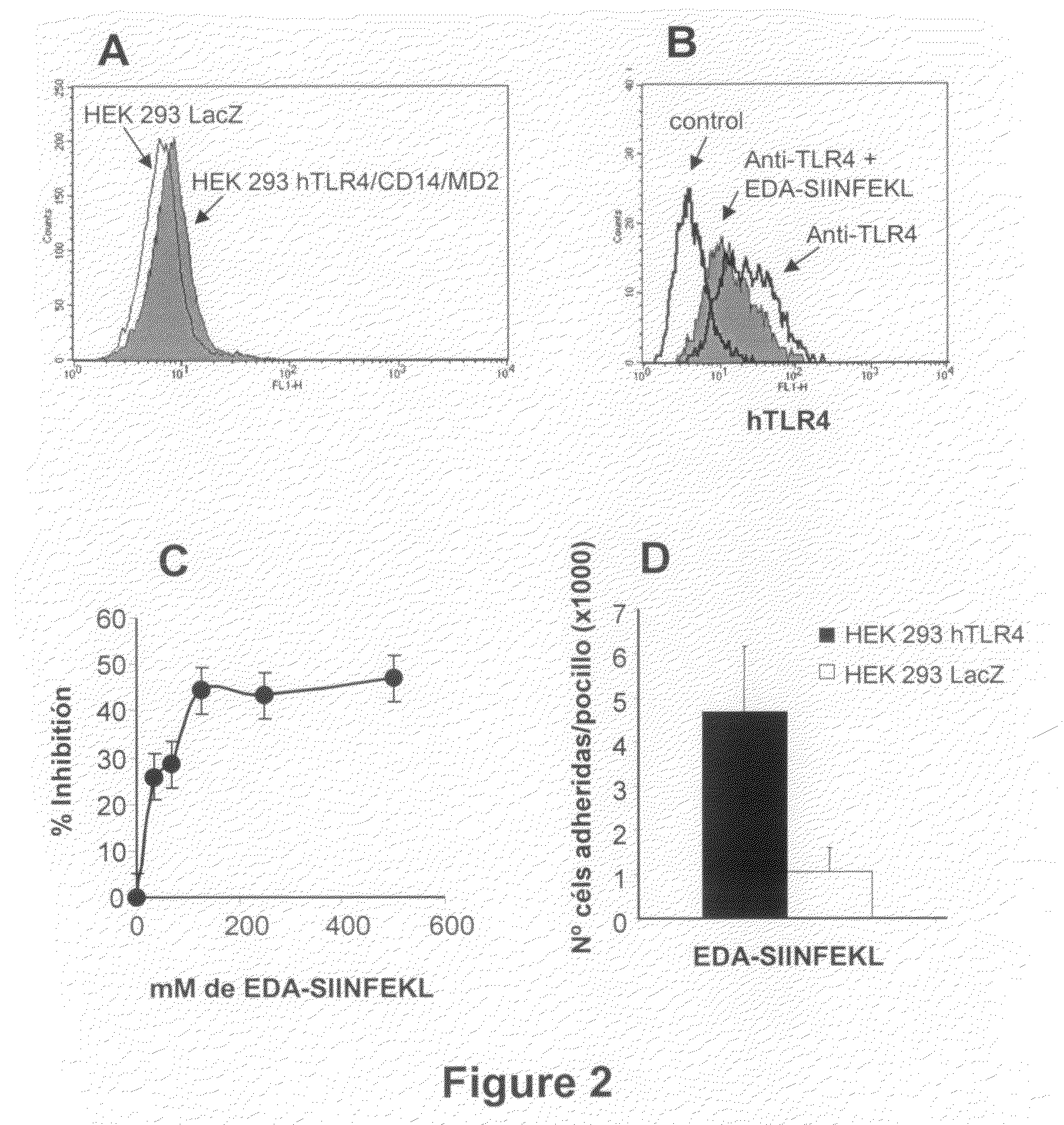 Agents and methods based on the use of the eda domian of fibronectin