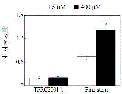 Cloning and application of an important gene shmdh1 for tolerance to manganese toxicity in plants