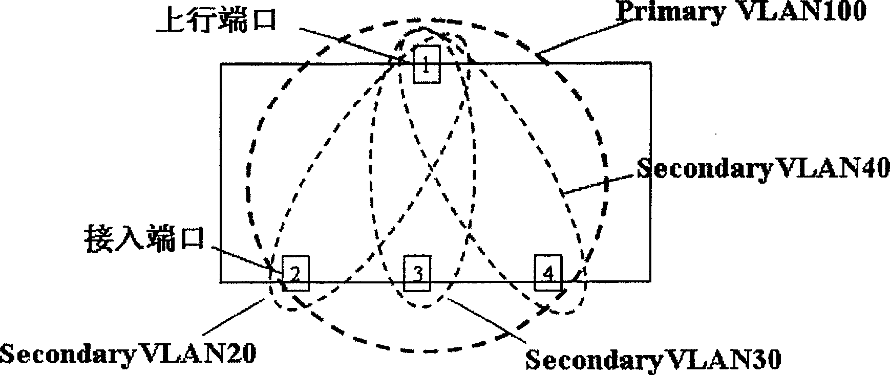 Method and switch for transmitting packet and establishing media access control address table