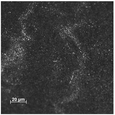 Production method of low carbon compound mesh grade gcr15 bearing round steel