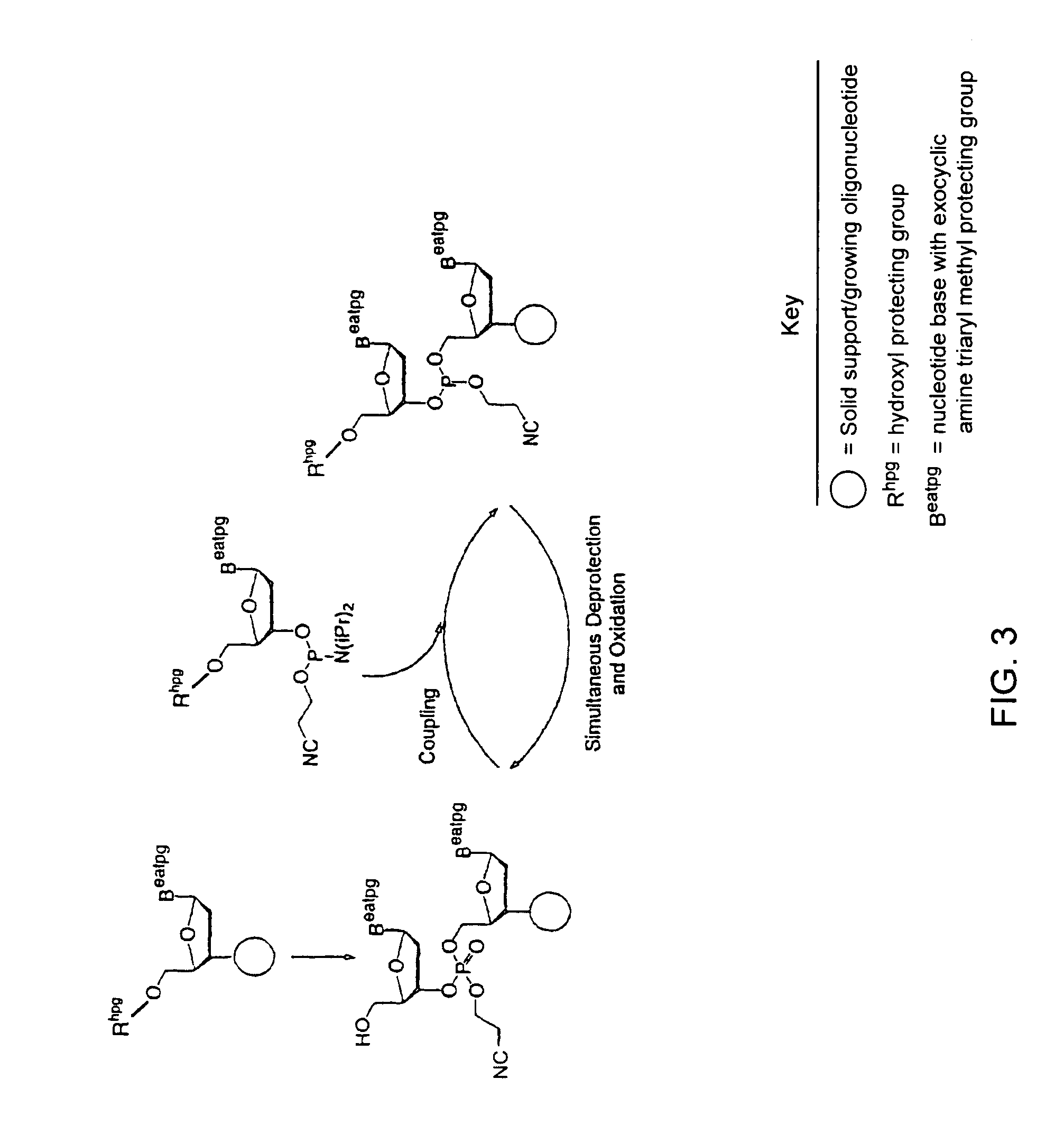 Precursors for two-step polynucleotide synthesis