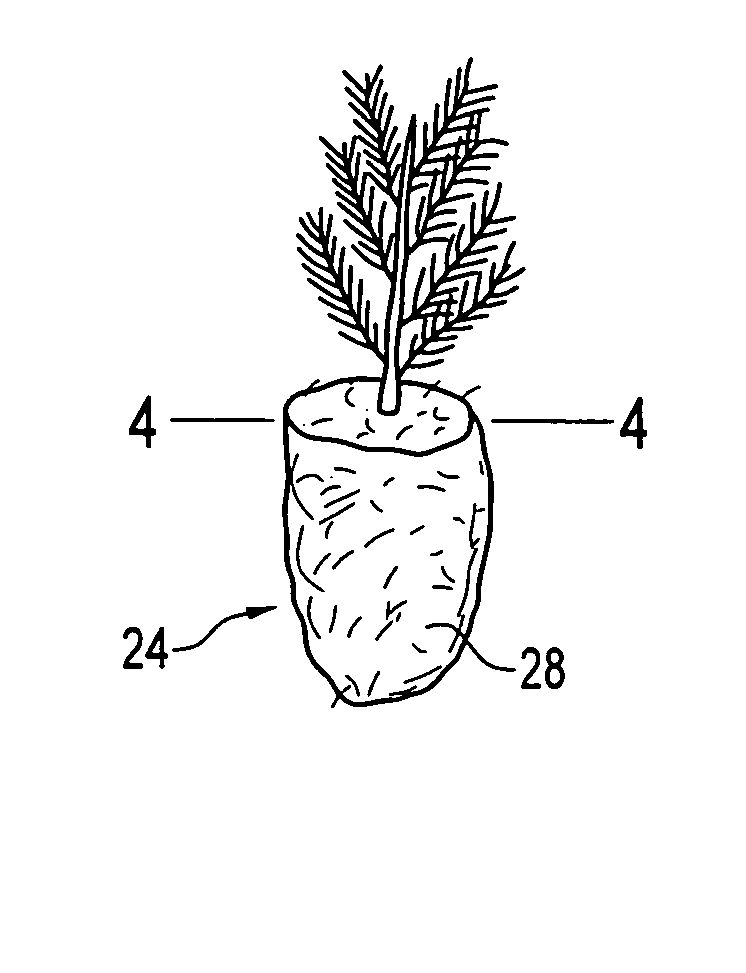 Tree seedling plug and method of making same