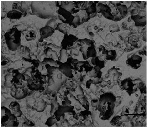 Preparation method of nano zinc loaded hydroxyapatite porous bioceramic