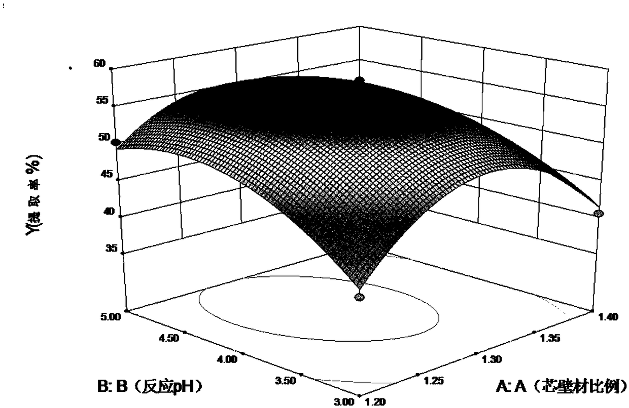 Duck fatty liver microcapsule and preparation method thereof