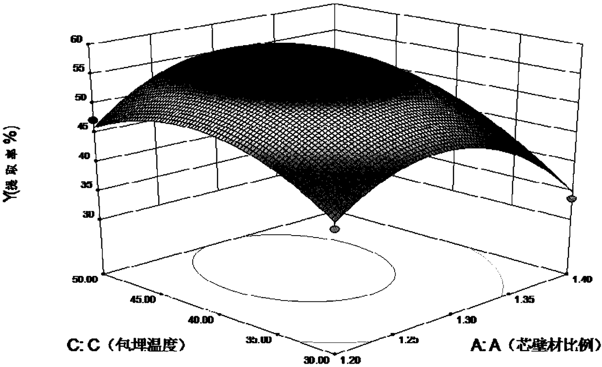 Duck fatty liver microcapsule and preparation method thereof