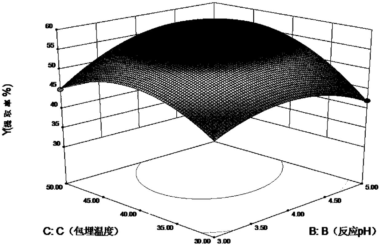 Duck fatty liver microcapsule and preparation method thereof