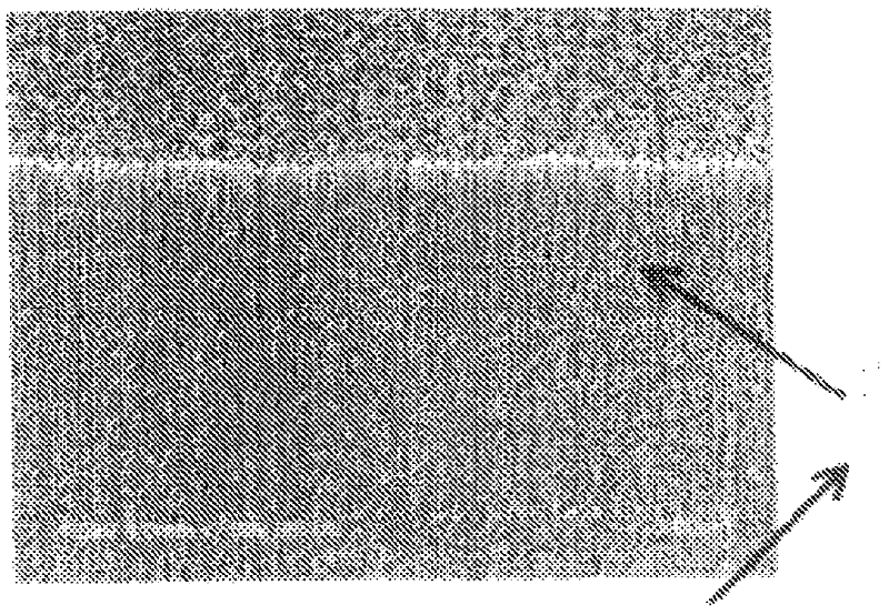 Aggregation of aligned single-walled carbon nanotubes, aggregate of massive aligned single-walled carbon nanotubes, aggregate of aligned single-walled carbon nanotubes in powder form, and manufacturing method thereof