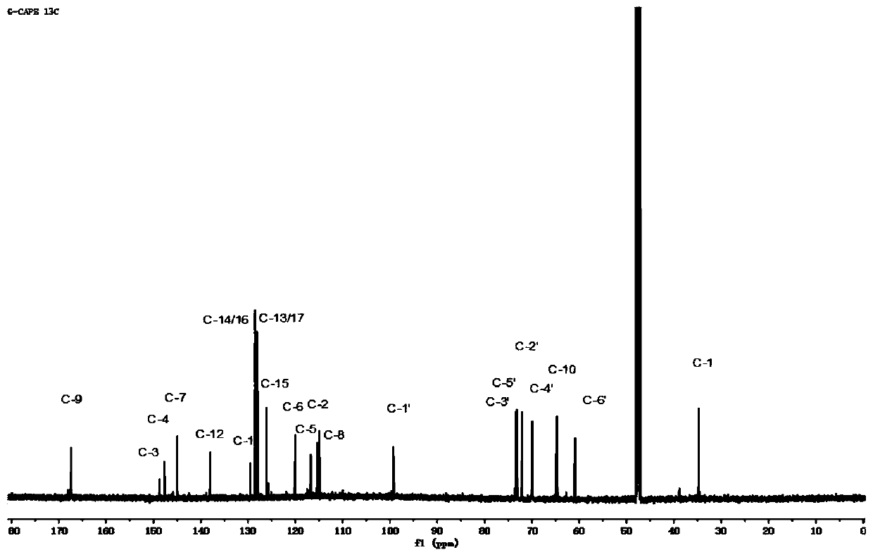 Glycosylation application of dextransucrase and method for preparing phenyl ethyl caffeate glycoside from dextransucrase