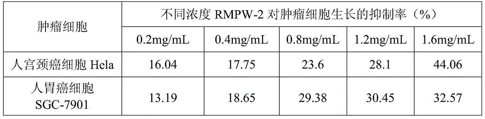 Preparation method of mulberry twig antineoplastic activity polysaccharide RMPW-2
