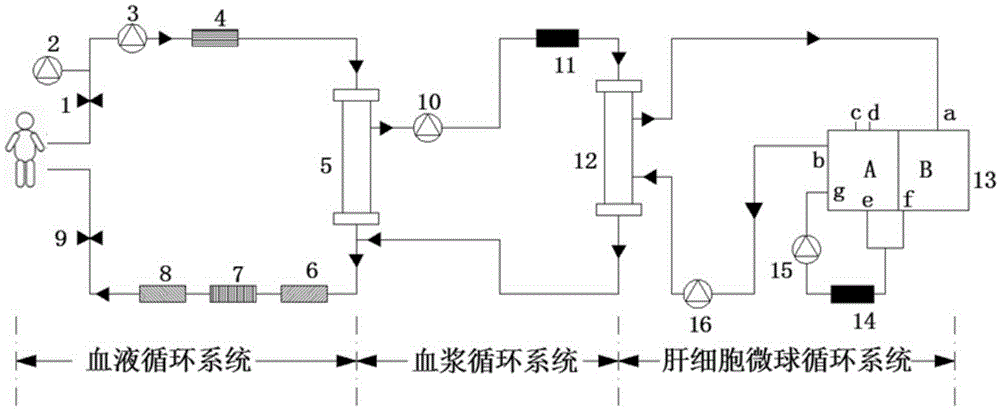 A Liver Cell Microsphere Circulation Bioartificial Liver Support System