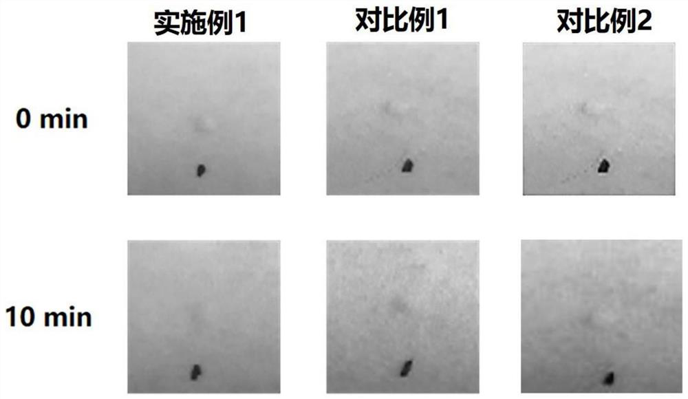 Plant extract for relieving eczema as well as preparation method and application thereof