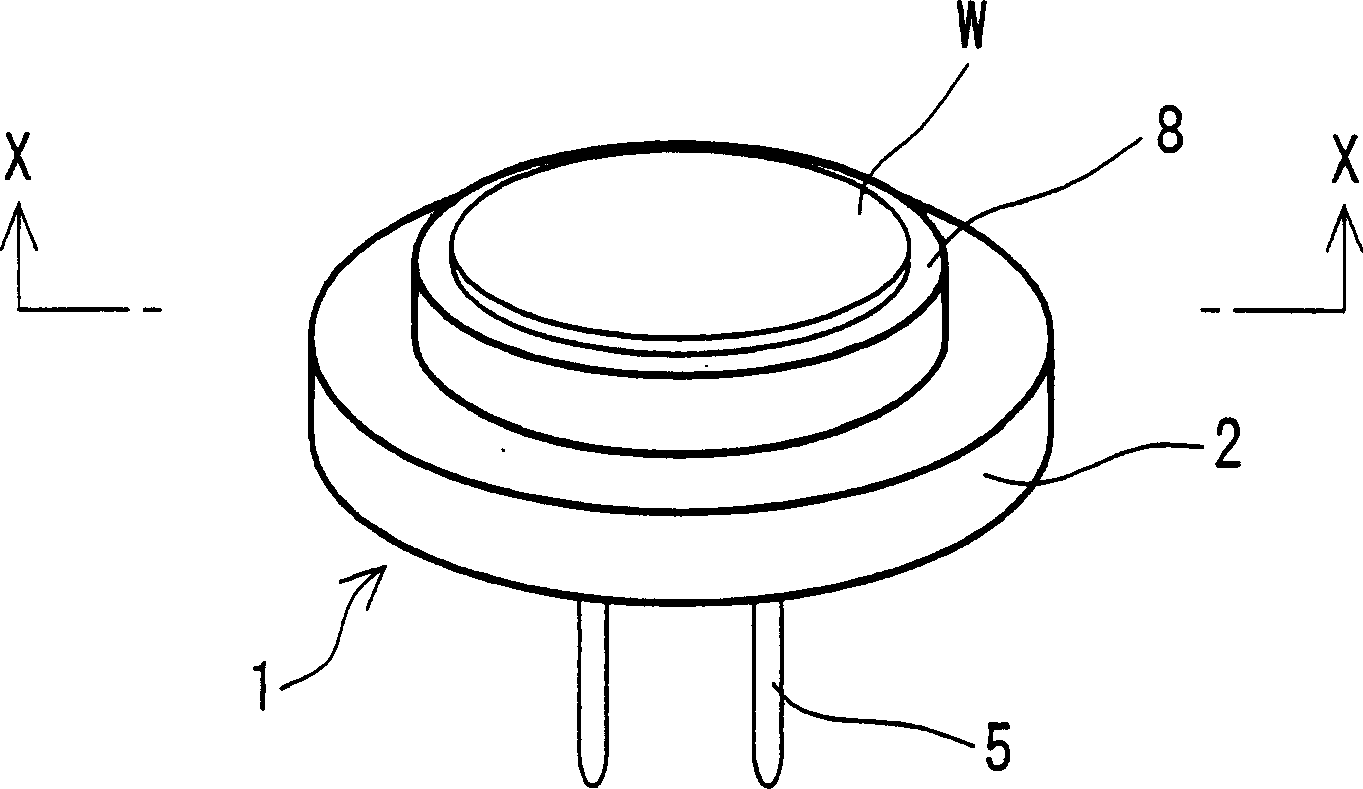 Wafer support member and semiconductor manufacturing system using the same