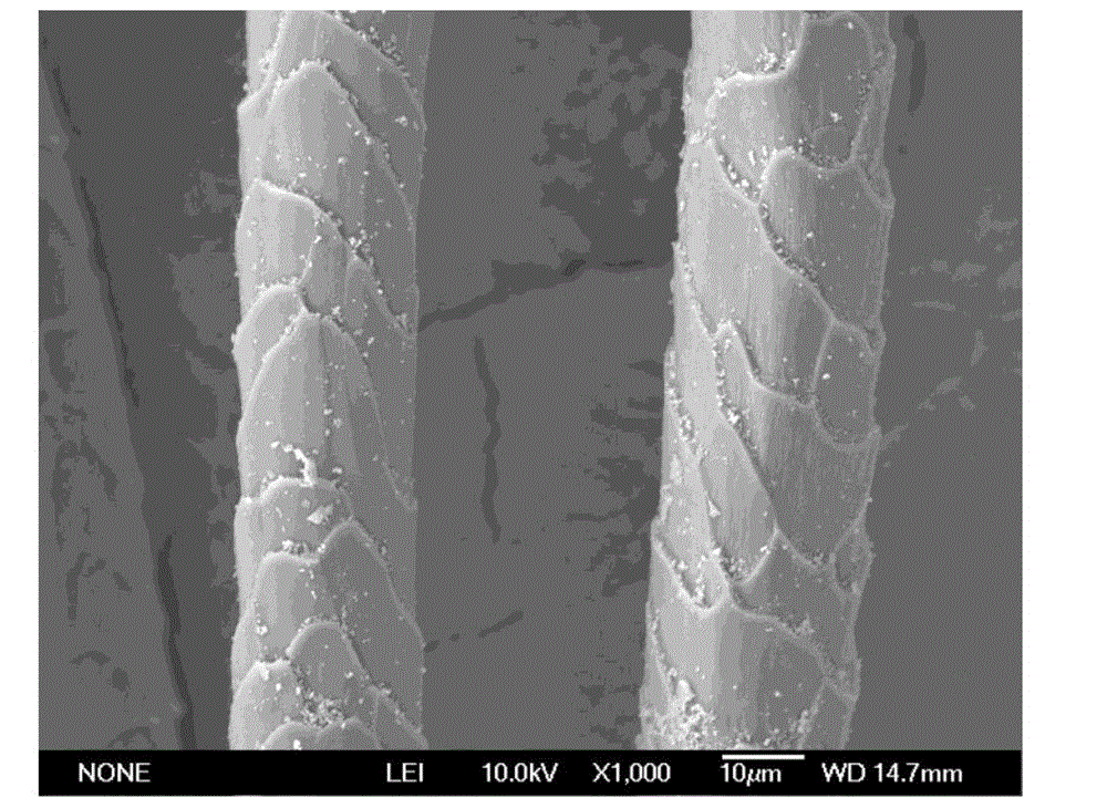 Method for modifying surfaces of wool fibers by using tetrabutyl titanate and chitosan
