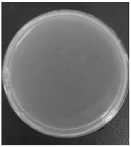 A method for infrared degradation of marine sulfated polysaccharides