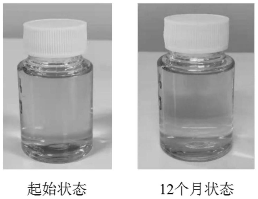 Targeted mitochondrial skin anti-aging nano composition and preparation method and application thereof