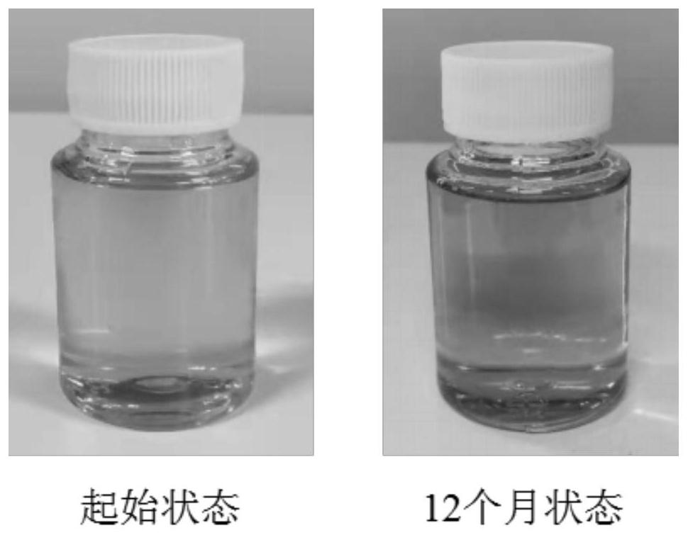 Targeted mitochondrial skin anti-aging nano composition and preparation method and application thereof