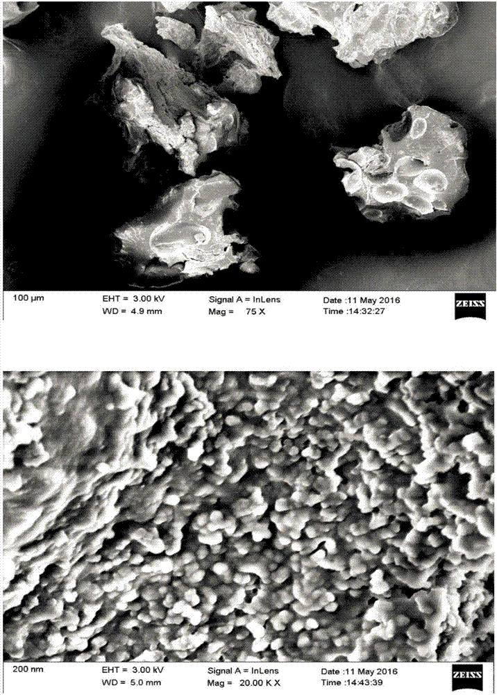 Preparation method of chitosan-soybean protein composite porous microspheres for lead adsorption