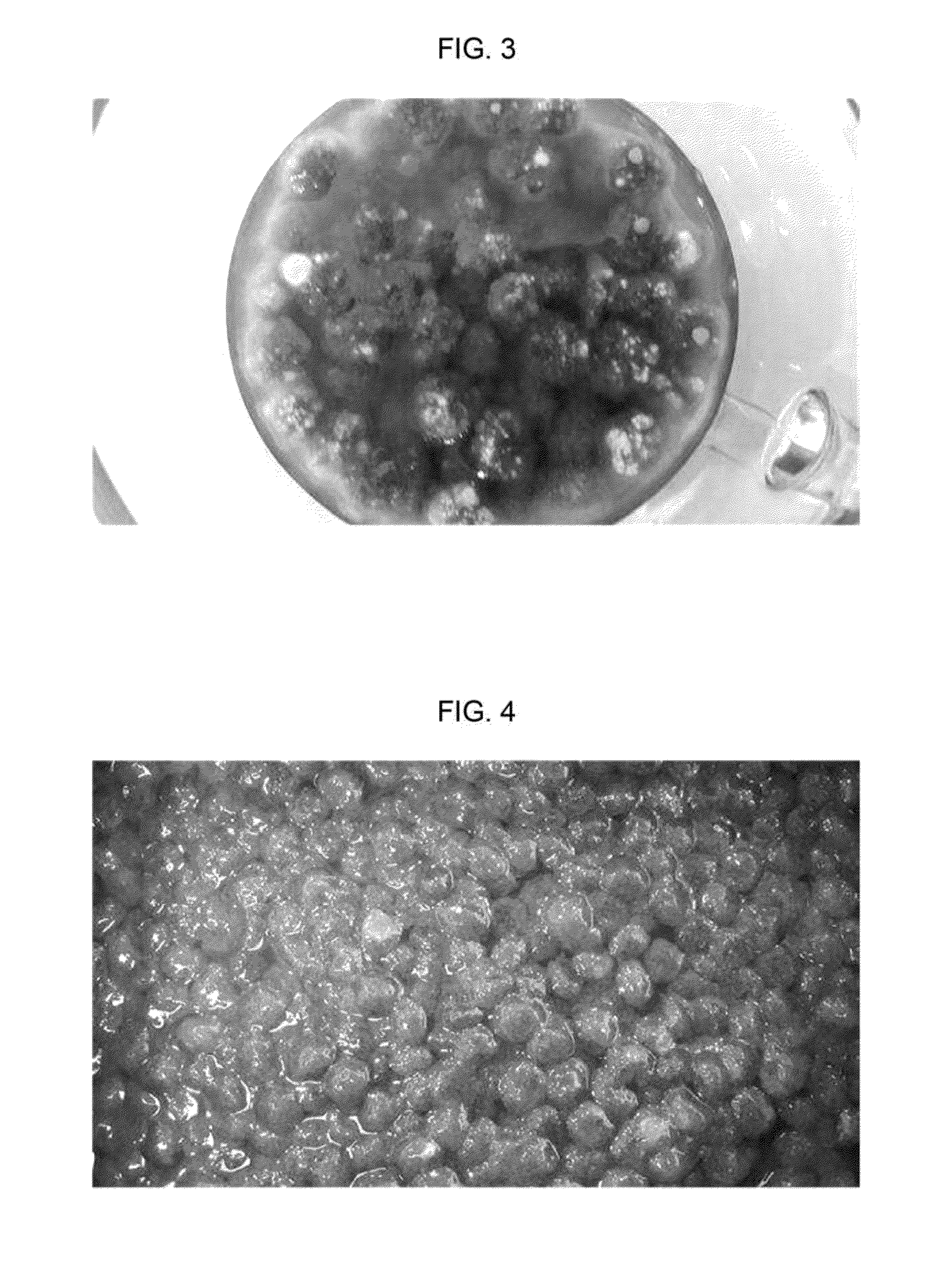 Fermented food improving bowel functions with stercoral removal efficiency and manufacturing method thereof