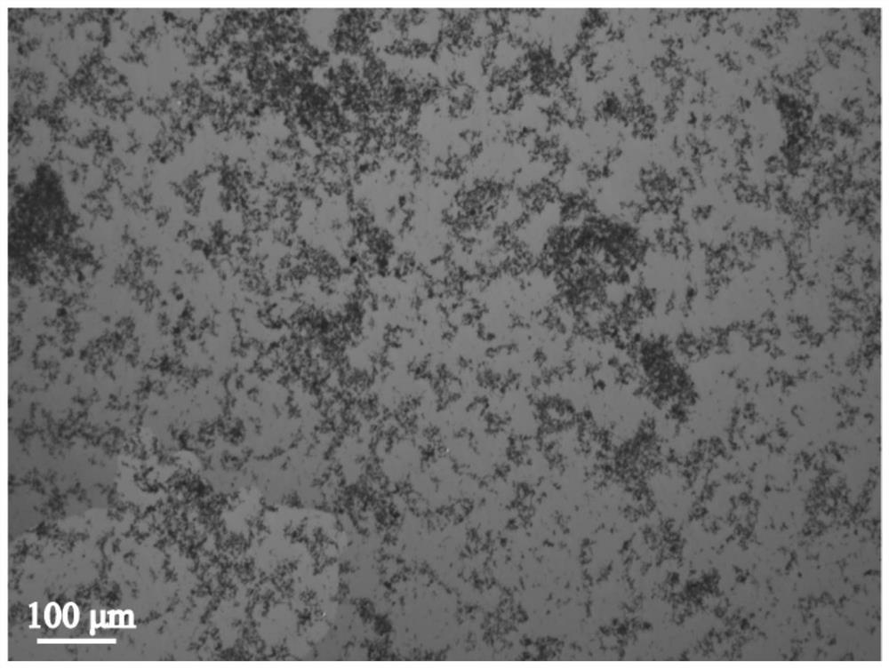 A kind of nano-silver loaded graphene and quantum dot co-doped polymer and its application