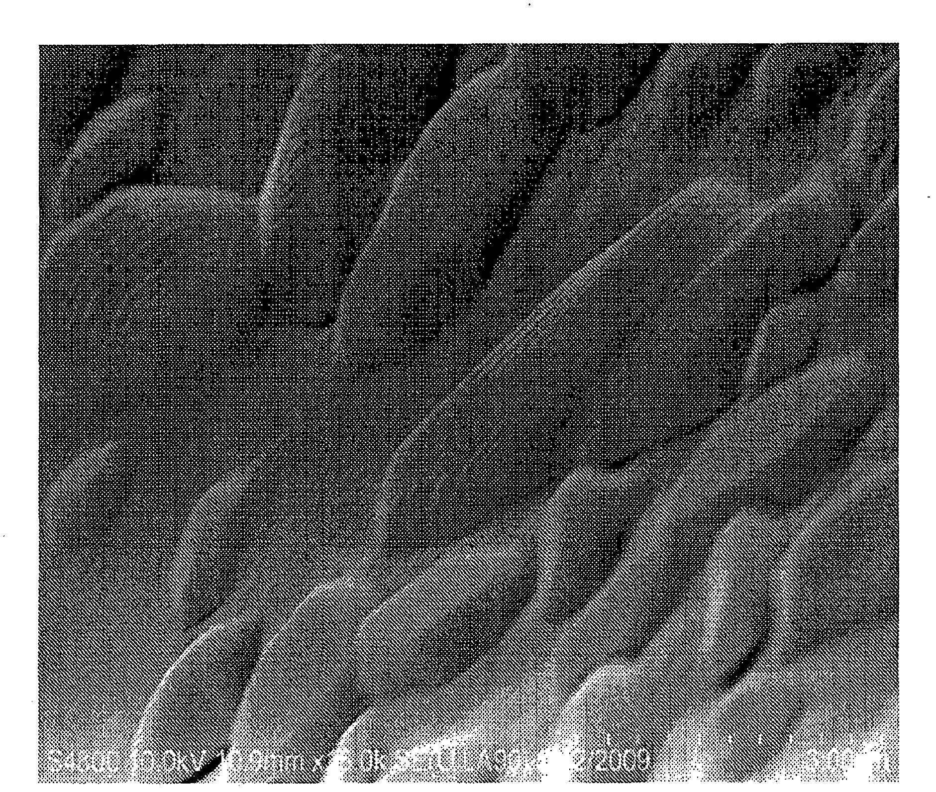 Copper-carbon Composition