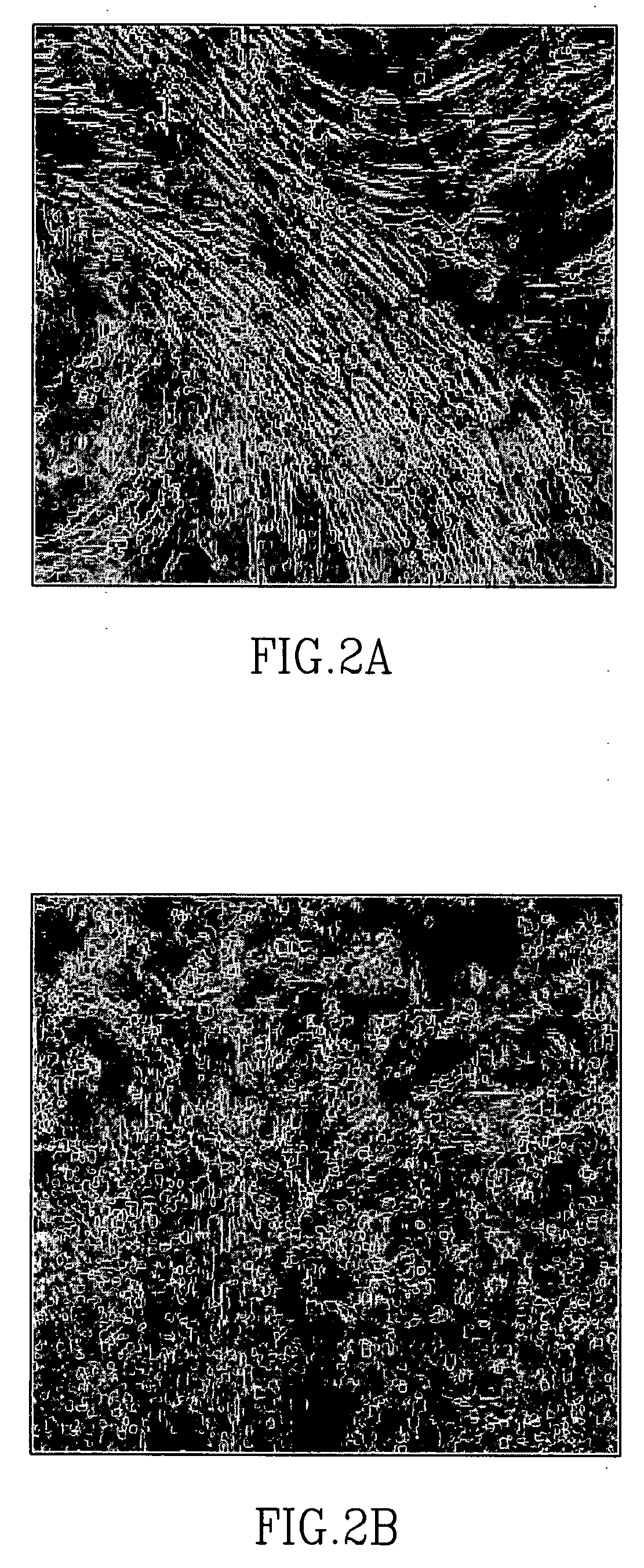Methods of implating mesenchymal stem cells for tissue repair and formation