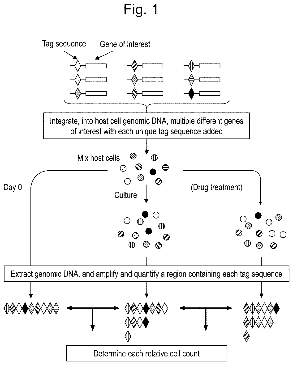 Method for evaluating multiple different genes of interest