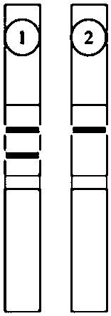 Magnetic bead immunochromatographic test strip for quickly detecting tropomyosin and application thereof