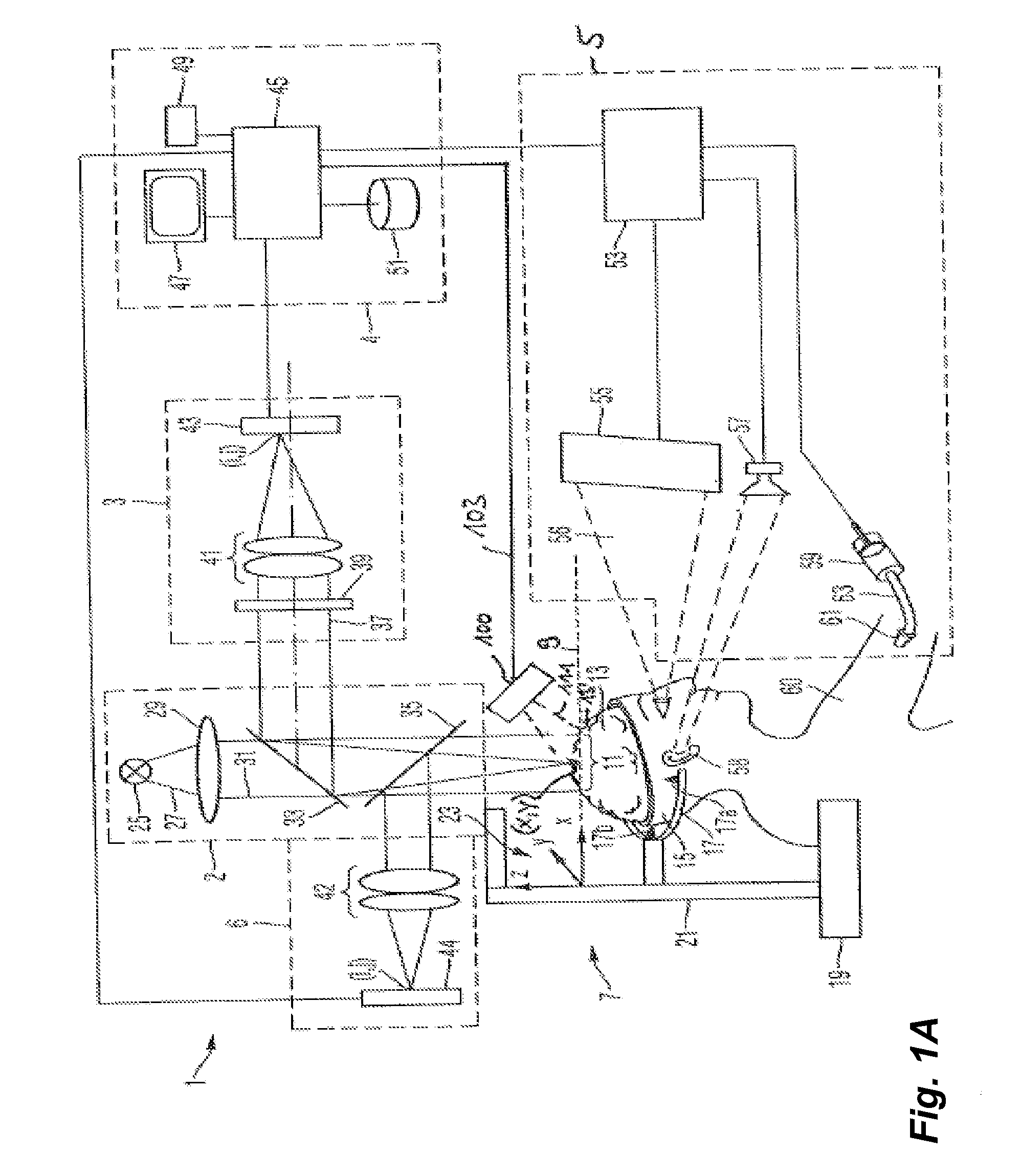 Method and apparatus for displaying a field of a brain of a patient and navigation system for brain surgery