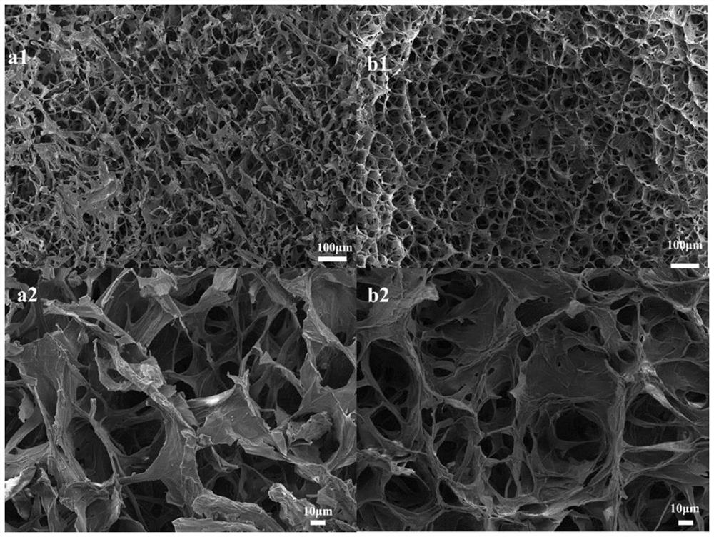 Pleurotus eryngii-based photo-thermal conversion material and preparation method thereof