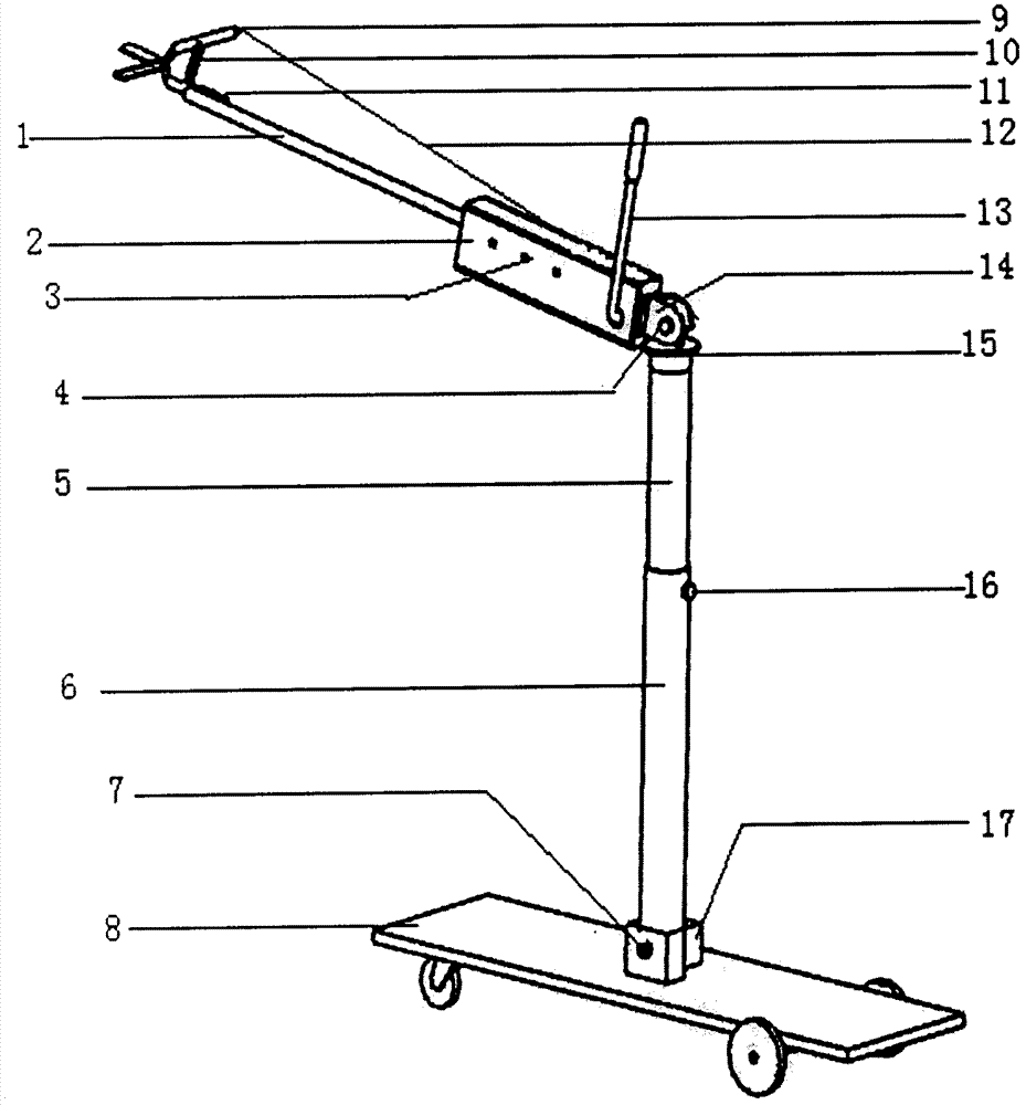 Multi-freedom-degree branch and leaf clipping trolley