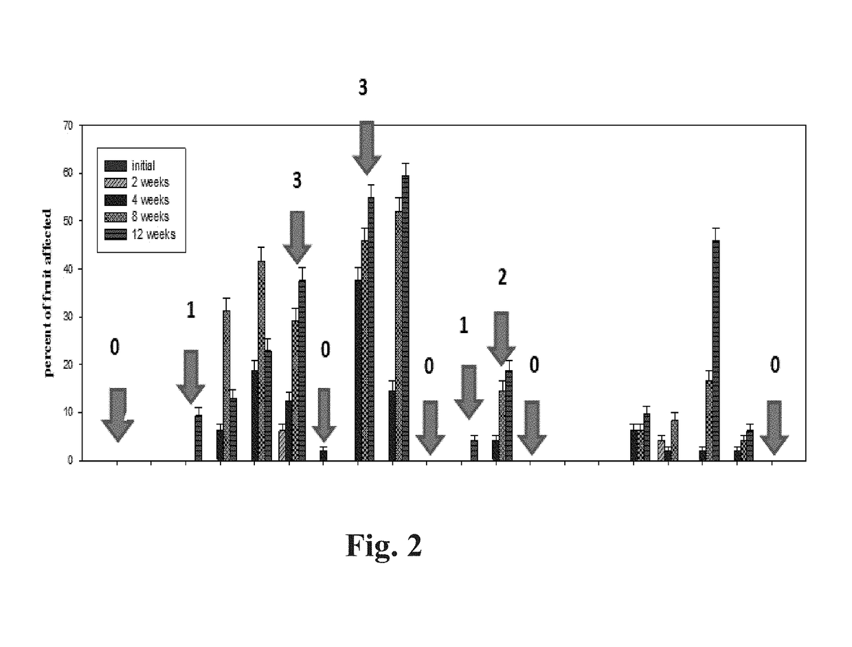 Gene expression monitoring for risk assessment of apple and pear fruit storage stress and physiological disorders