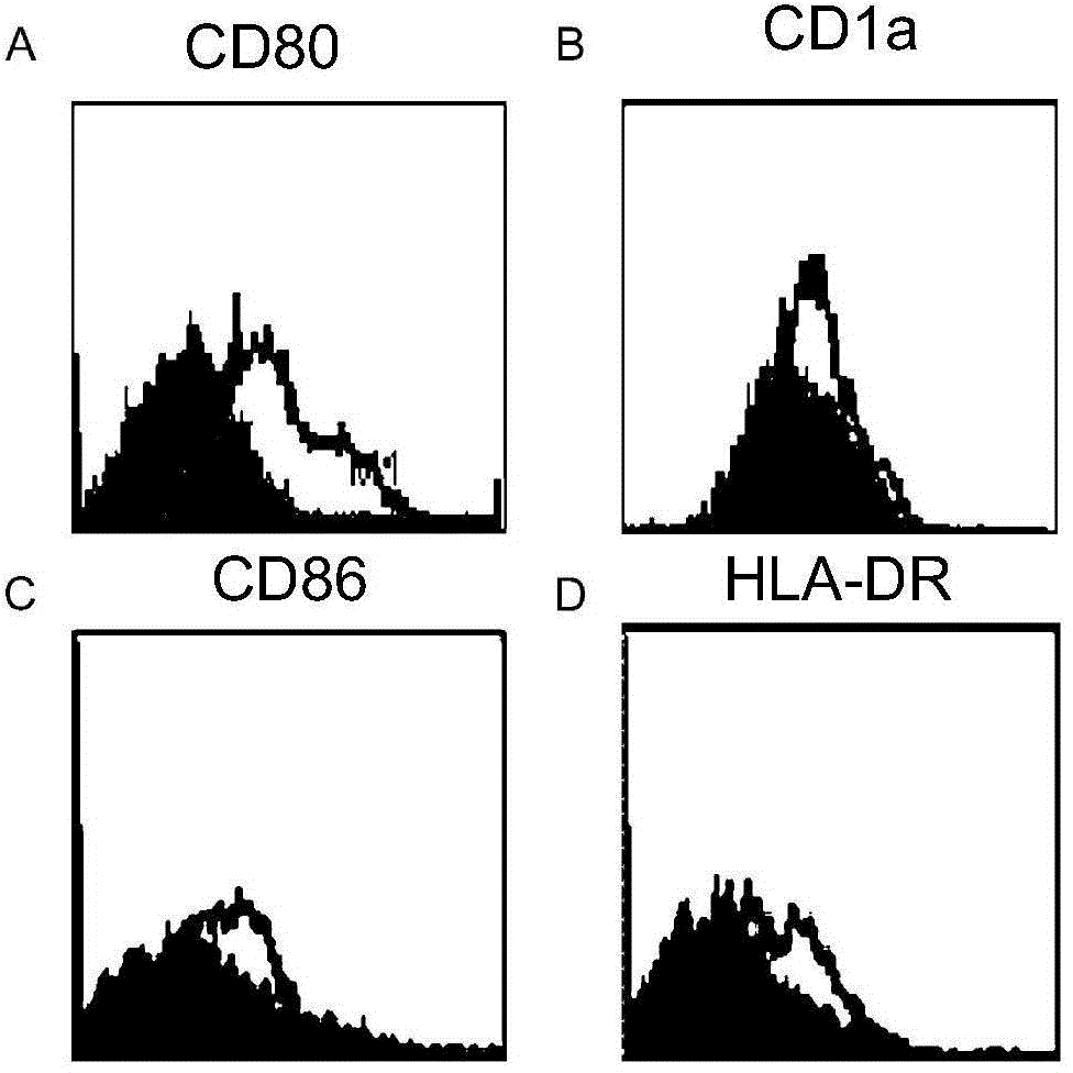 Serum-free culture medium for adoptive immune cells