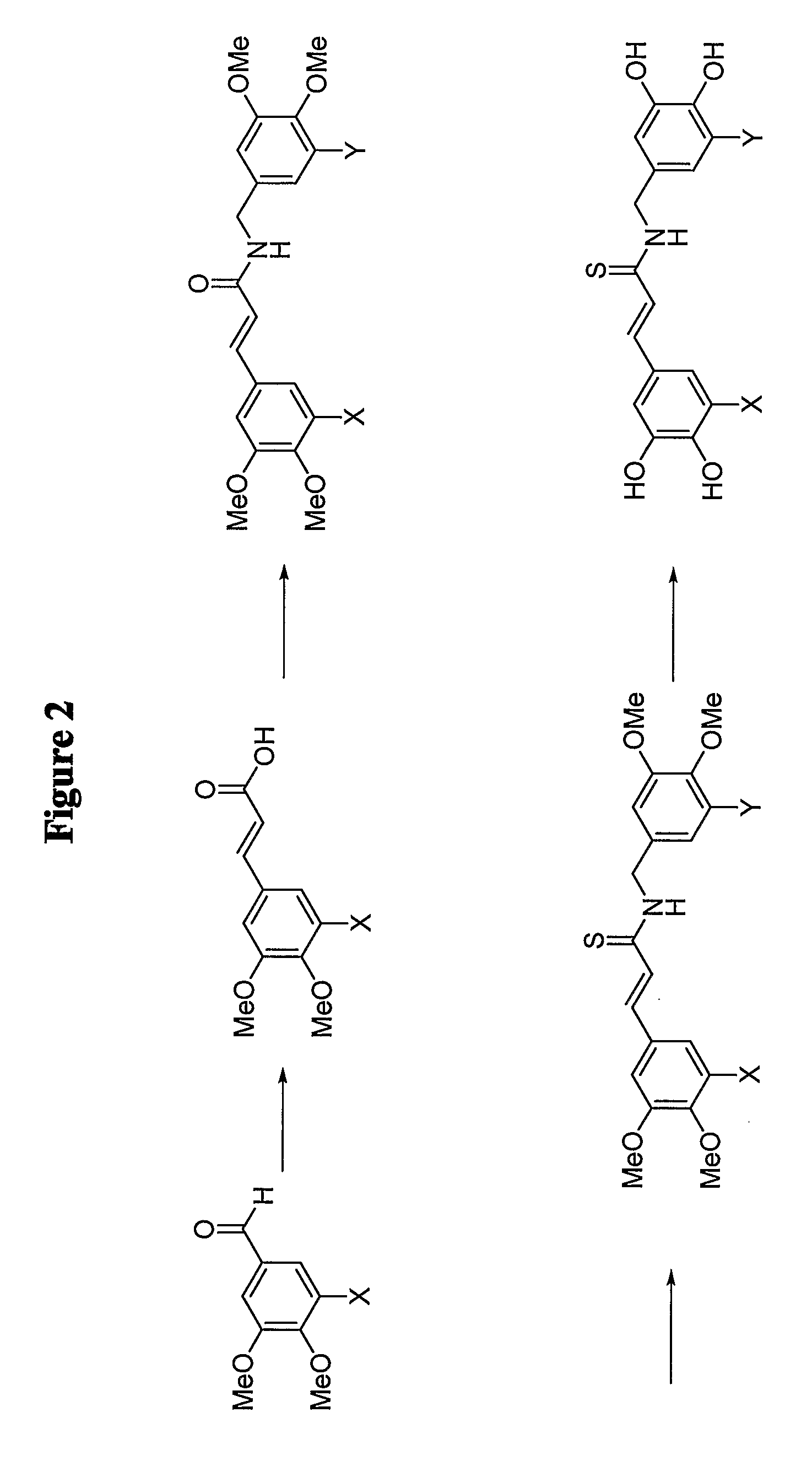 Protein kinase modulators and therapeutic uses thereof