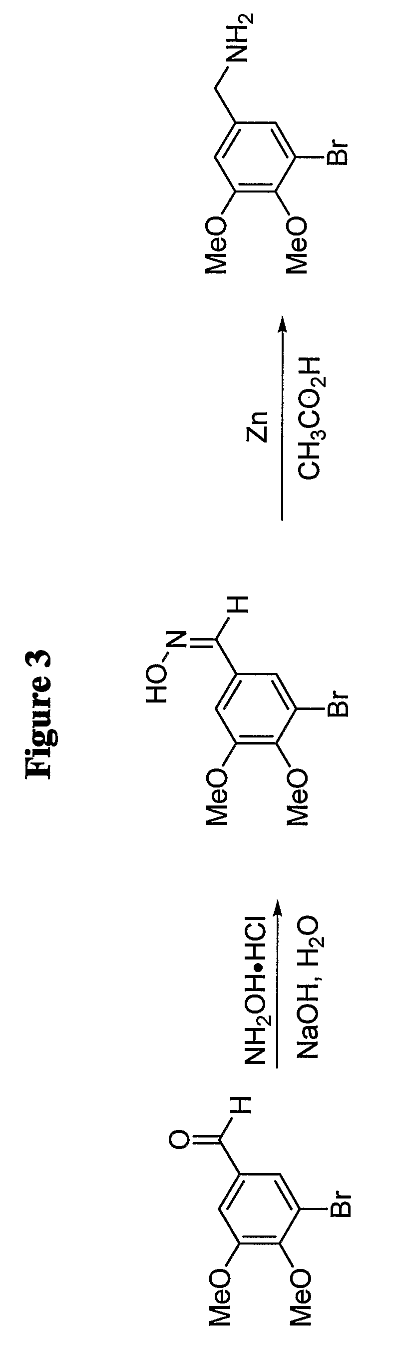 Protein kinase modulators and therapeutic uses thereof