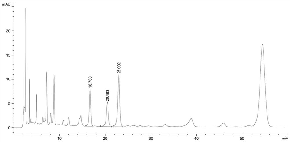 Preparation process and quality control method of inula and ochre soup formula granules