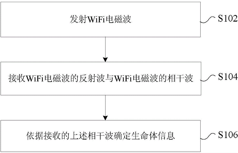 Life form detection processing method and apparatus, and terminal