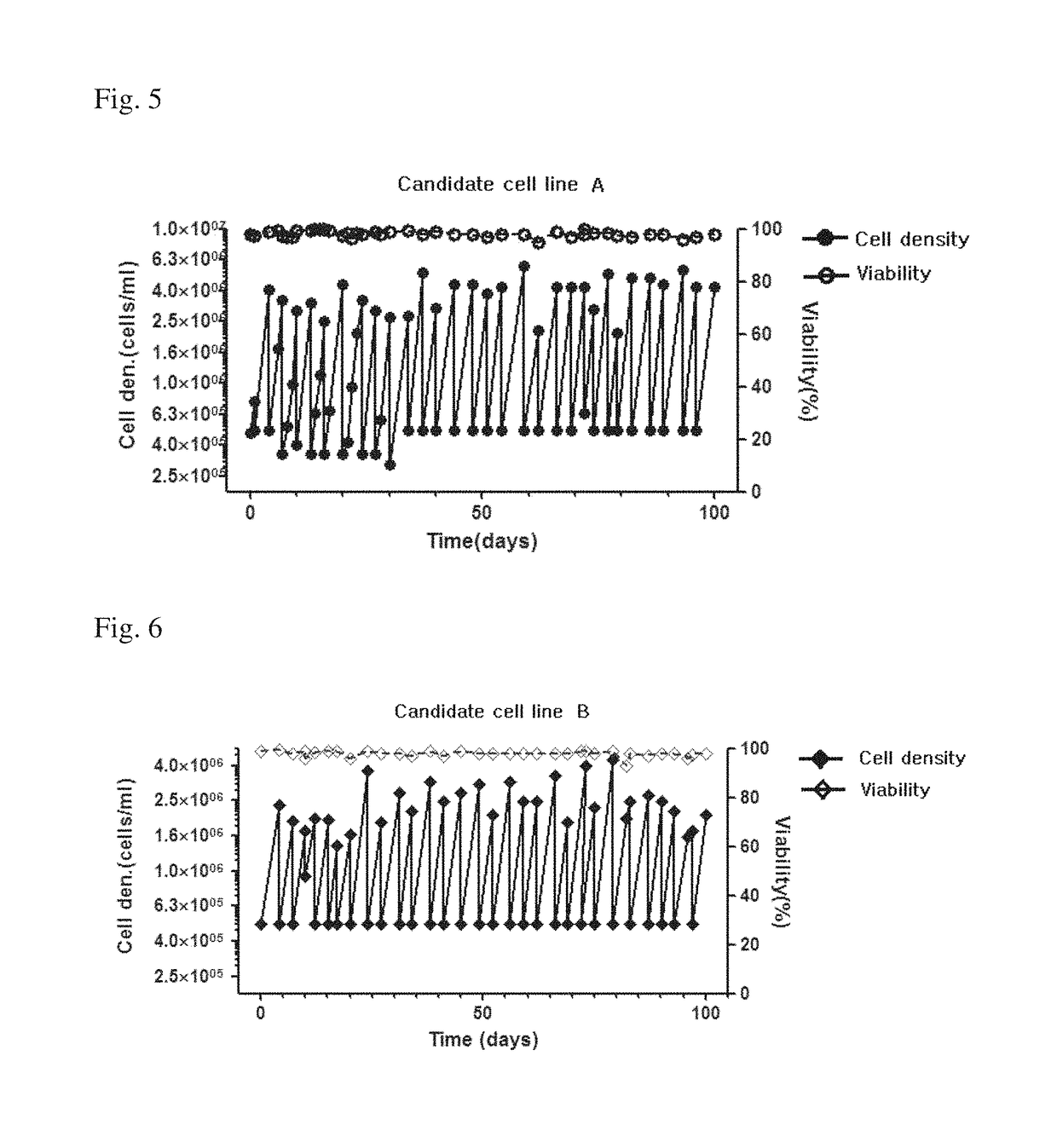 MDCK-derived cell strain suspension-cultured in protein-free medium and method for proliferating virus using cell strain