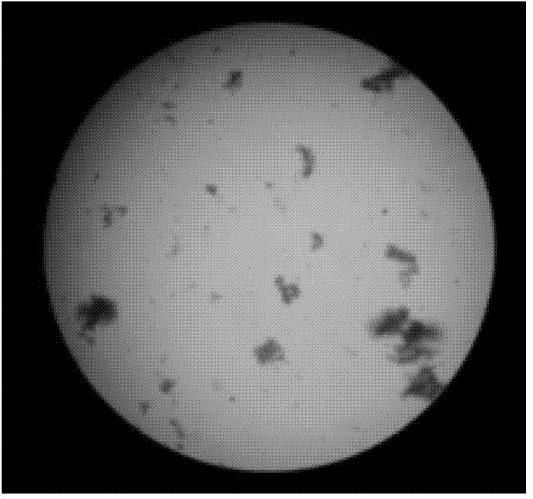 Biological compound flocculant and application thereof