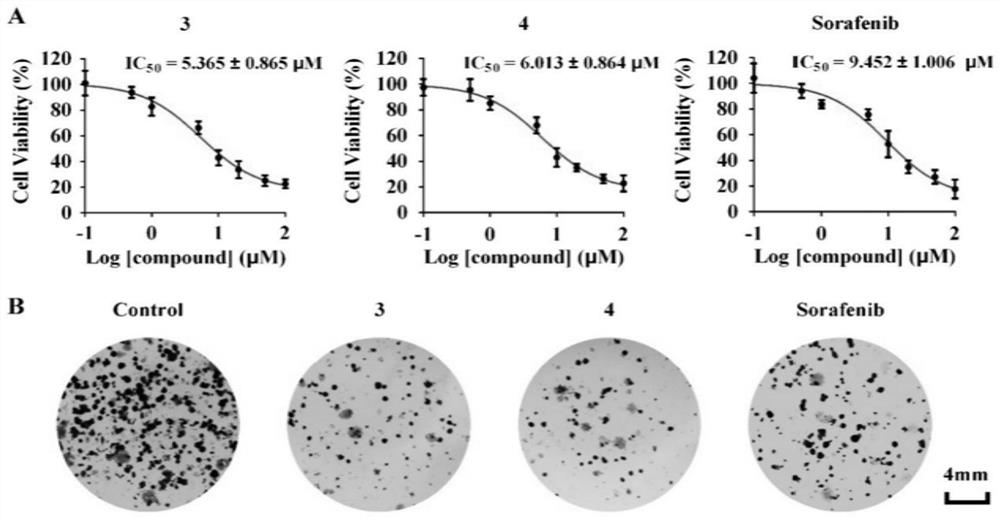 Compound separated from spina glandulifera as well as preparation method and application of compound