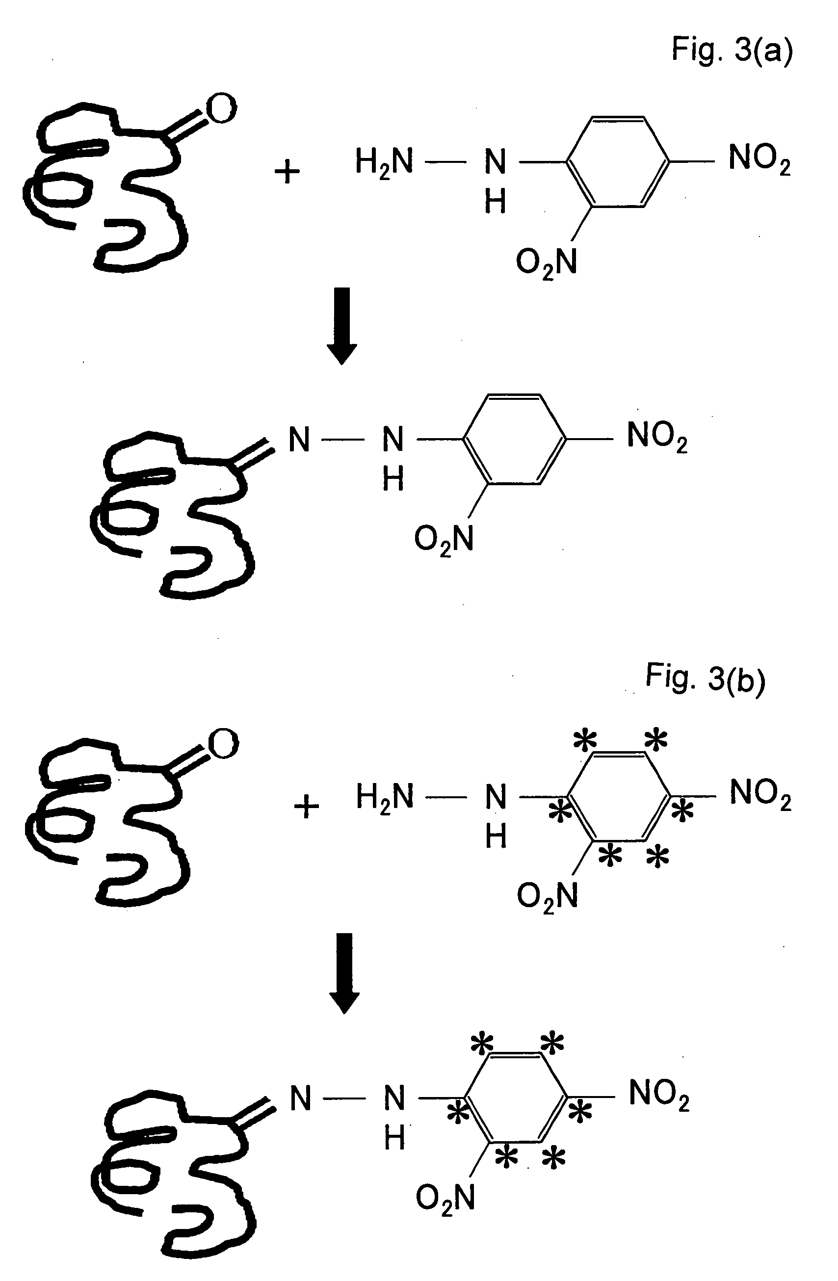 Method of Quantitative Analysis of Oxidized Protein, Labeling Reagents for Quantitative Analysis of Oxidized Protein and Labeling Reagent kit for Quantitative Analysis of Oxidized Protein