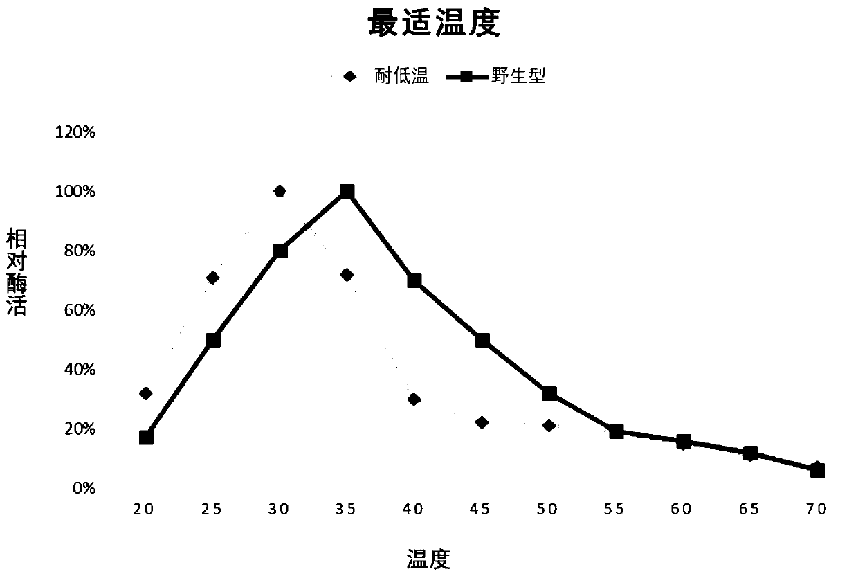 Chitinase low temperature resistant mutant and application thereof