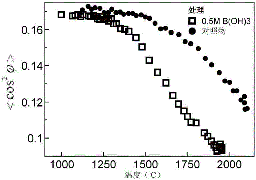 Polyolefin-derived carbon fibers containing boron