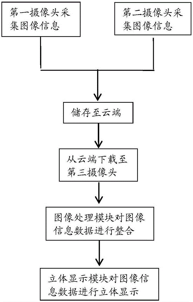 Three-dimensional data real-time stereoscopic display system