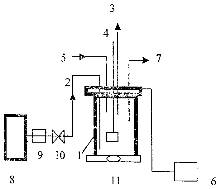 Method and reactor for removing nitrate in water