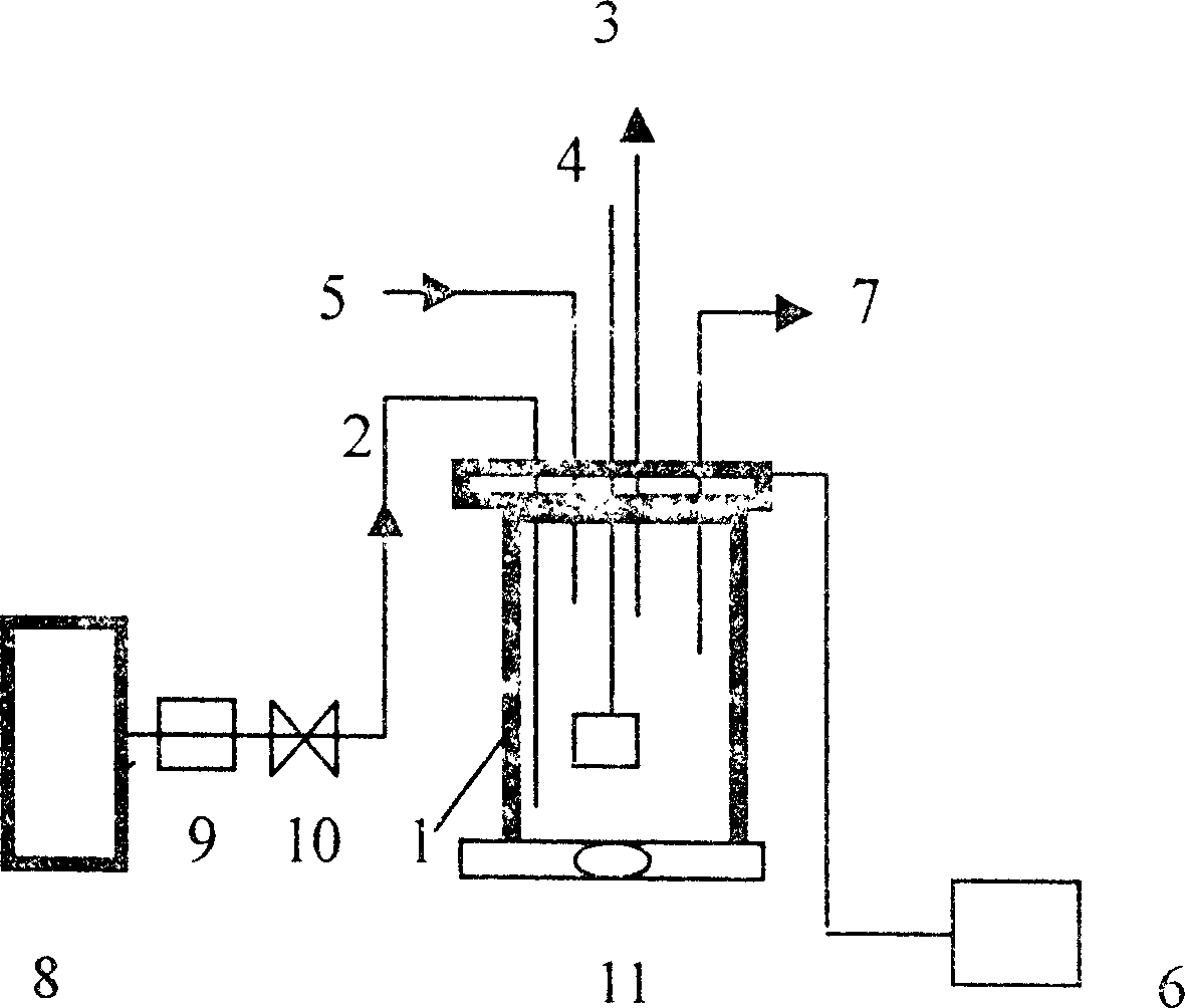 Method and reactor for removing nitrate in water