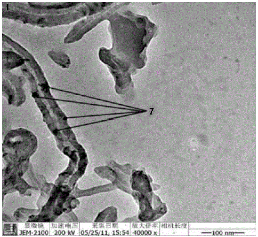 Highly dispersed palladium/carbon nanometer tube catalyst for anthraquinone hydrogenation and preparation method thereof