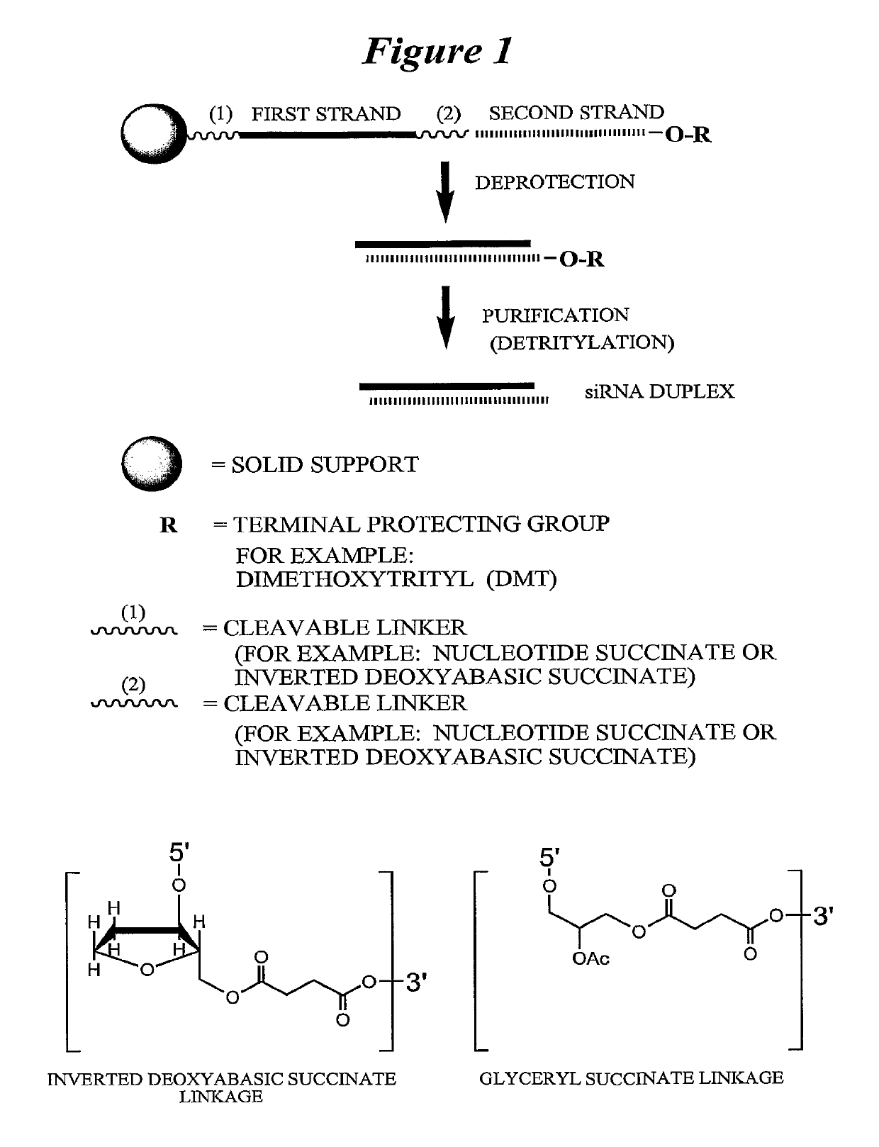 Chemically modified multifunctional short interfering nucleic acid molecules that mediate RNA interference