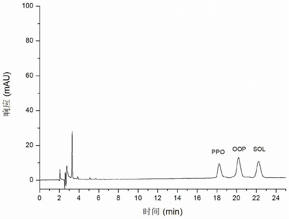 Single-column two-dimensional liquid chromatography-mass spectrometry analysis method for triglyceride in edible oil and application of method