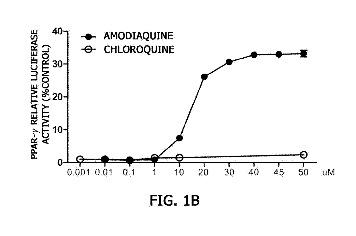 Pharmaceutical composition comprising amodiaquine and Anti-diabetes drug as effective ingredient for prevention or treatment of diabetes