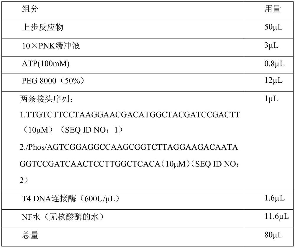 Whole genome combination targeted amplification library construction method and reagents and pathogen detection method